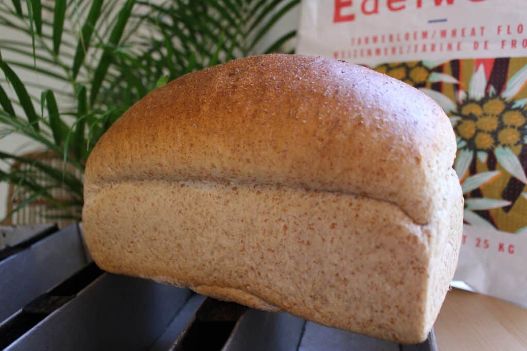 Bruin brood