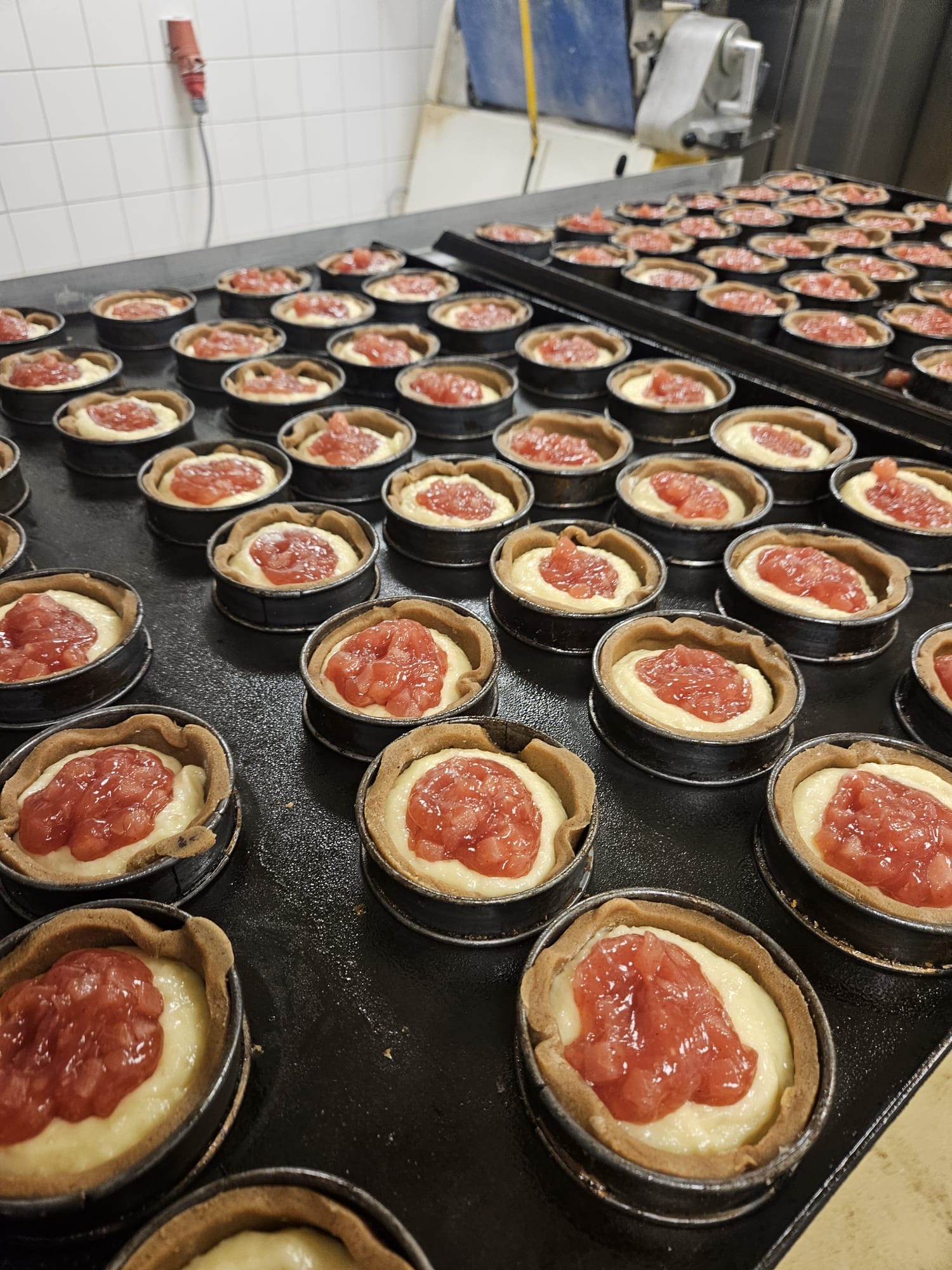 7cf047b8-fc63-44f6-b6ed-5c42b846ab35